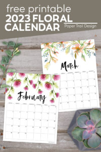 February and March calendar pages with succulent with text ovelay- free printable 2023 floral calendar