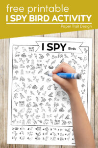 I spy birds activity page for kids with text overlay- free printable I spy bird activity