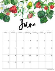 June 2027 calendar printable