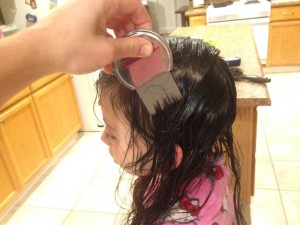 Getting rid of head lice nits 