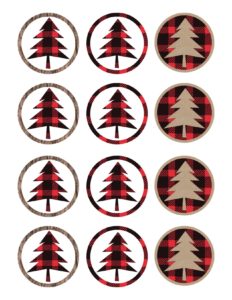 Lumberjack cupcake toppers free printable for your lumberjack themed birthday party or baby shower. Print these and our other free printables to add easy decor to your party. 