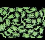 Glow-in-the-dark-bugs