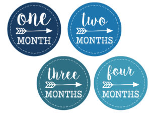 Baby Boy Monthly Onesie Stickers Free Printable. Print these baby boy labels on sticker paper and take a picture of your child each month as they grow. Makes a great baby shower gift.