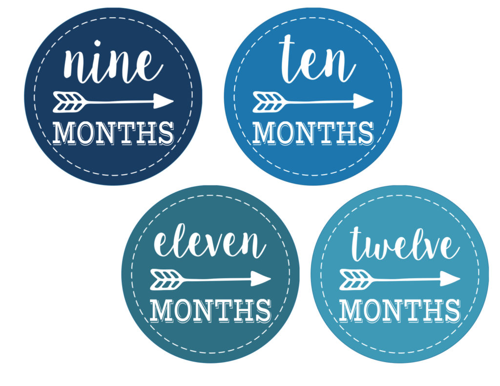 Baby Boy Monthly Onesie Stickers Free Printable - Paper Trail Design