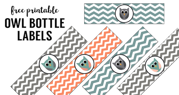 Free Printable Owl Water Bottle Labels. Great for owl birthday party theme or owl baby shower theme party. Print the owl water bottle wrappers and tape to a bottle.. 