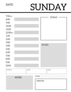Daily Planner Printable Template Sheets. Free daily planner pages to build your own organizer or just keep a to-do list for the day. #papertraildesign #dailyplanner #organizer #keepyourgoals