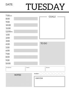 Daily Planner Printable Template Sheets. Free daily planner pages to build your own organizer or just keep a to-do list for the day. #papertraildesign #dailyplanner #organizer #keepyourgoals