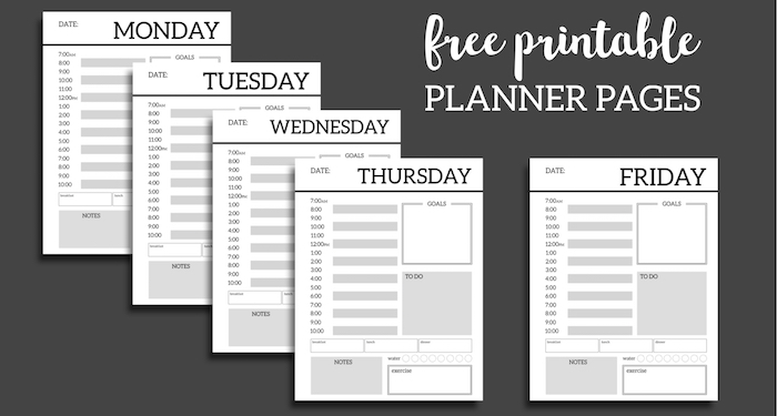 Daily Planner Printable Template Sheets. Free daily planner pages to build your own organizer or just keep a to-do list for the day. #papertraildesign #dailyplanner #organizer #keepyourgoals