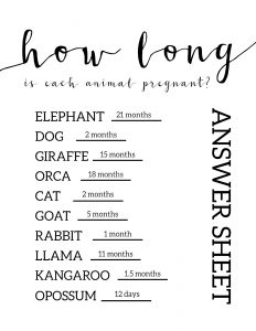 Free Baby Shower Games Printable {Animal Pregnancies}. Girl of Boy Baby shower printable. Easy fun DIY baby shower activity. #papertraildesign #babyshowerboy #babyshowergirl #babyshowergameideas