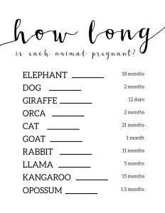 Free Baby Shower Games Printable {Animal Pregnancies}. Girl of Boy Baby shower printable. Easy fun DIY baby shower activity. #papertraildesign #babyshowerboy #babyshowergirl #babyshowergameideas