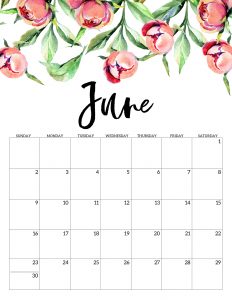 Free Printable Calendar 2019 - Floral. Watercolor Flower design style calendar. Monthly calendar pages. Cute office or desk organization. #papertraildesign #2019calendar #calendar #calendar2019 #floralcalendar