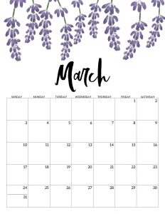 Free Printable Calendar 2019 - Floral. Watercolor Flower design style calendar. Monthly calendar pages. Cute office or desk organization. #papertraildesign #2019calendar #calendar #calendar2019 #floralcalendar