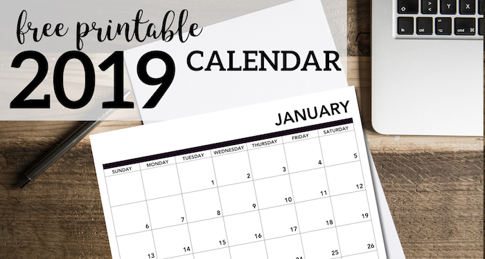 2019 Printable Calendar Free Pages. January, February, March, April, May June, July, August, September, October, November, December. #papertraildesign #calendar #2019calendar #organization