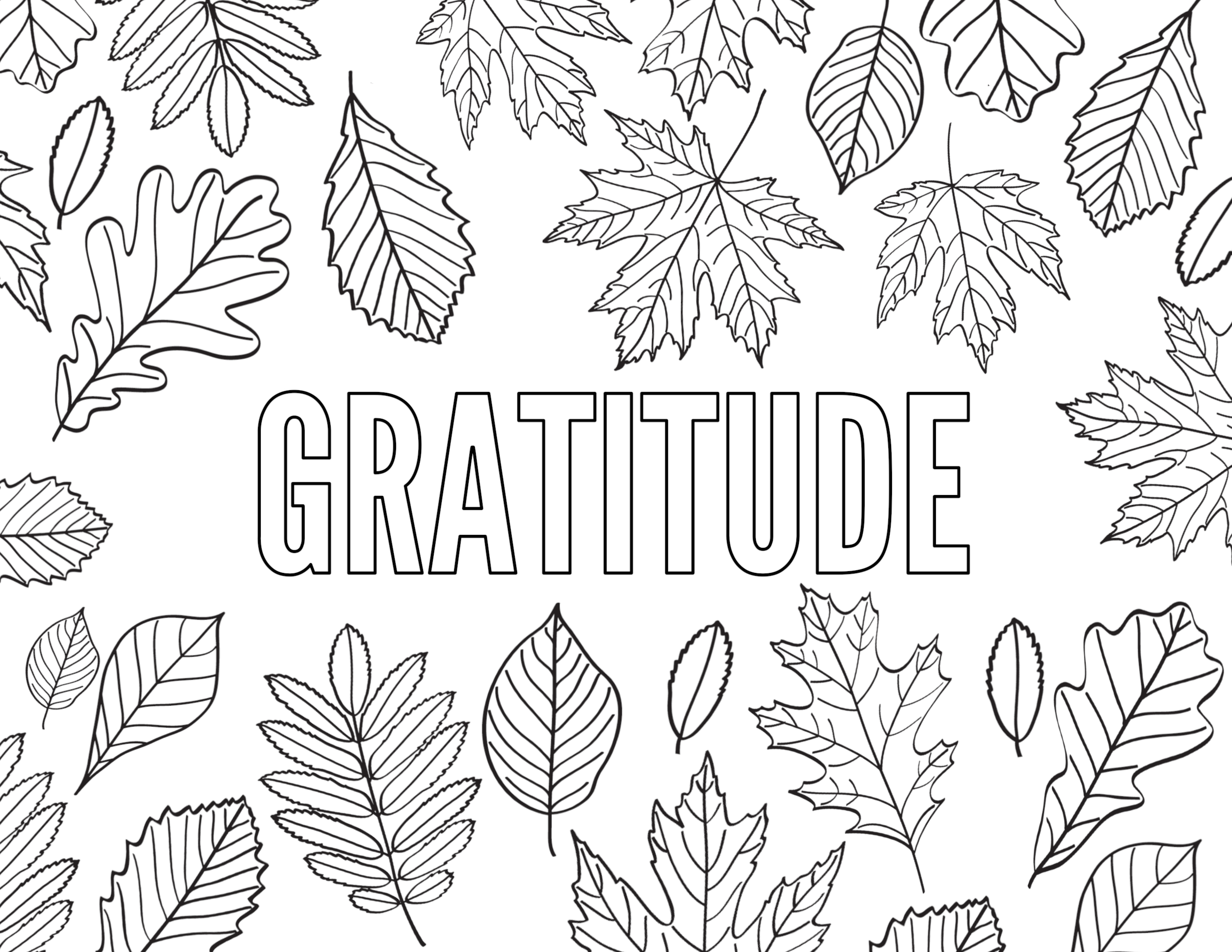 Download Thanksgiving Coloring Pages {Free Printable} | Paper Trail ...