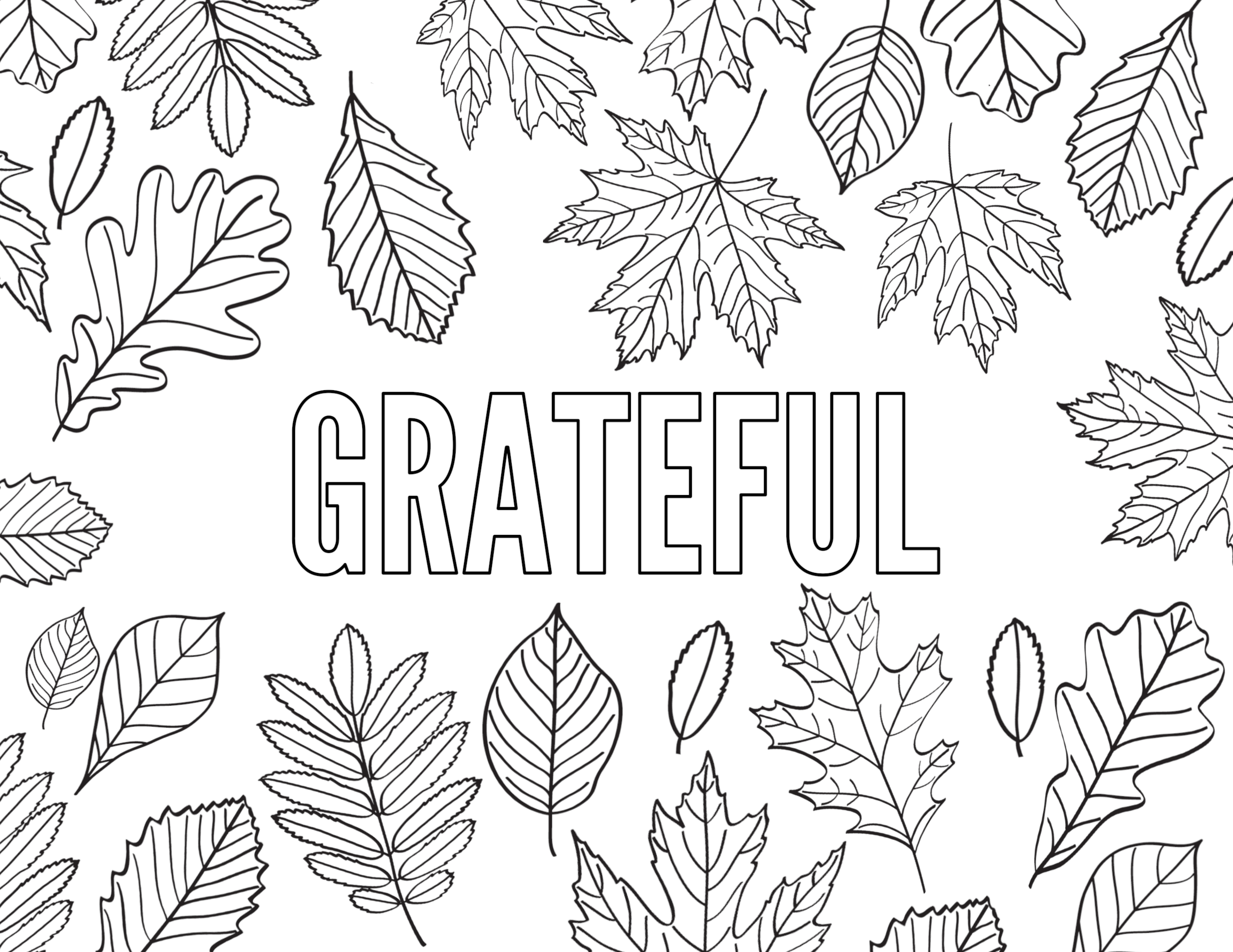 Thanksgiving Coloring Pages Free Printable Paper Trail Design Thanksgiving Coloring Pages Free Printable Paper Trail Design