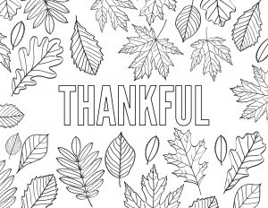 Thanksgiving Coloring Pages Free Printable. Grateful, Thankful, Gratitude, Give Thanks, and Thanksgiving for kids and adults. #papertraildesign #thanksgivingkids #thanksgivingactivity #kidstable #fall #autumn #hellofall