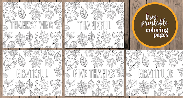 Thanksgiving Coloring Pages Free Printable. Grateful, Thankful, Gratitude, Give Thanks, and Thanksgiving for kids and adults. #papertraildesign #thanksgiving #thankful #grateful #gratitude #coloringpage #givethanks