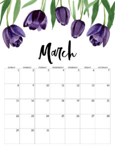 March 2020 Free Printable Calendar - Floral. Watercolor flower design calendar pages for a office or home calendar for work or family organization. #papertraildesign #calendar2020 #calendar #2020calendar #flowercalendar #floralprintables