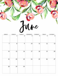 June Free Printable Calendar 2020 - Floral. Watercolor Flower design style calendar. Monthly calendar pages. Cute office or desk organization. #papertraildesign #calendar #floralcalendar #2020 #2020calendar #floral2020calendar