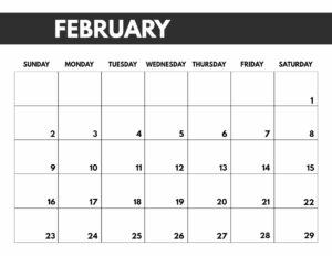 February 2020 Free Monthly Calendar Template in 8.5x11, big happy planner size. 