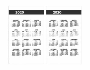 2020 Printable One Page Year at a Glance Calendar in bold font in mini happy planner size.