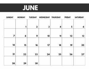 June 2020 Free Monthly Calendar Template in 8.5x11, big happy planner size. 