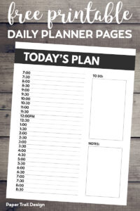 Today's Plan daily schedule planner page with text overlay- free printable daily planner pages. 