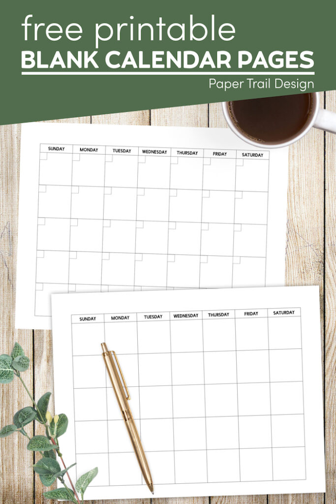 Free Printable Blank Calendar Template - Paper Trail Design
