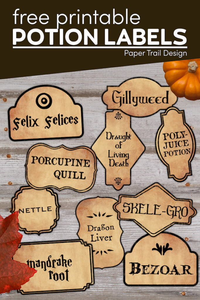 Harry Potter Potion Labels Printable - Paper Trail Design