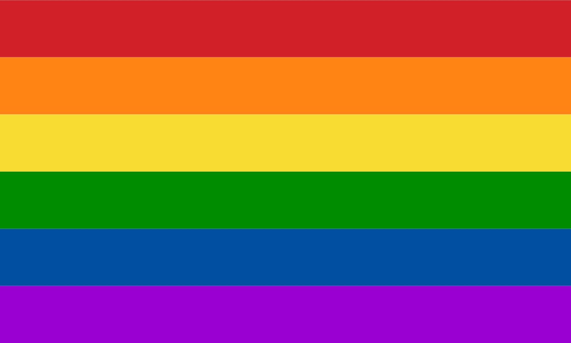 Pride Month LGBTQ+ Can You Name That LGBTQ Flag? Quiz. Digital Download PDF  Party Flag Parade Game. Rainbow Design