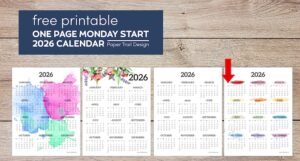 Organization Archives - Paper Trail Design