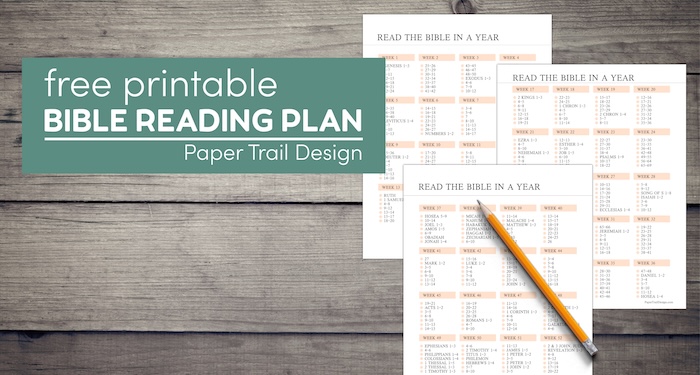 Daily bible reading plan with text overlay- free printable bible reading plan